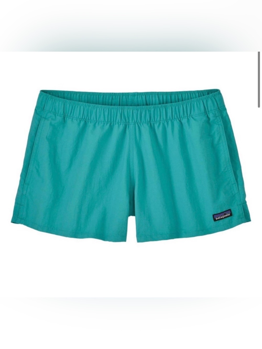 Patagonia Barely Baggies 2.5 inch shorts